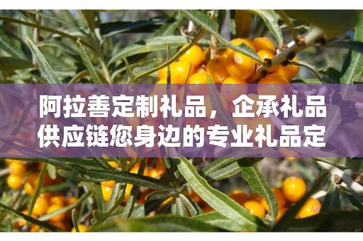 阿拉善定制礼品，企承礼品供应链您身边的专业礼品定制公司