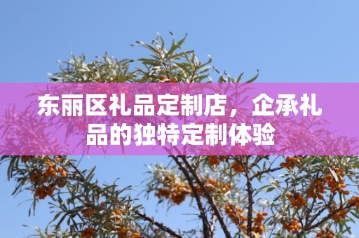 东丽区礼品定制店，企承礼品的独特定制体验