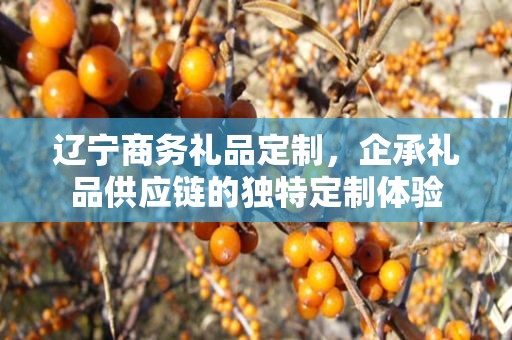 辽宁商务礼品定制，企承礼品供应链的独特定制体验